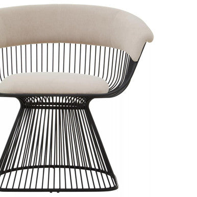 Vogue Mink Velvet Chair with Black Finish Frame