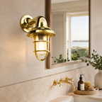 Solid Brass Caged Swan Neck Wall Light