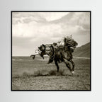 Galloping by Rachel Pansky