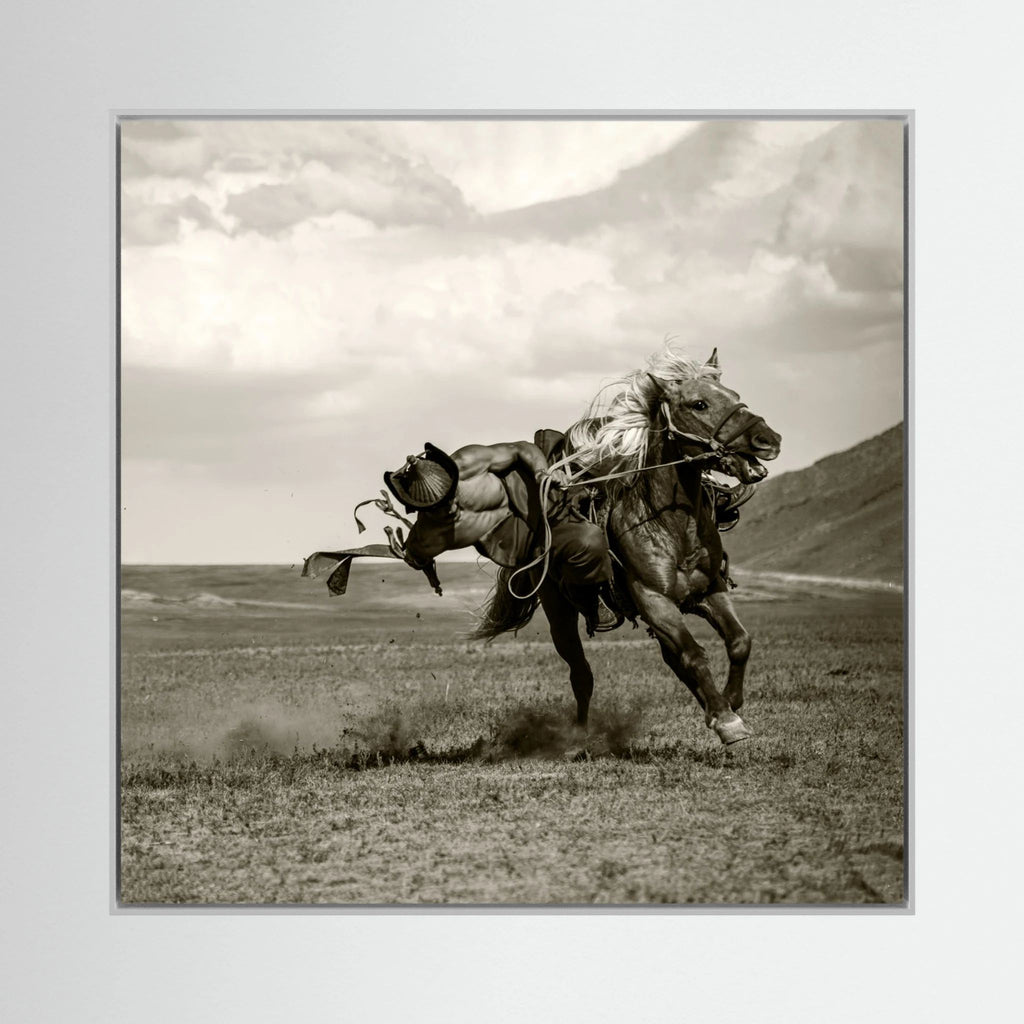 Galloping by Rachel Pansky