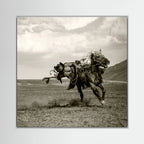 Galloping by Rachel Pansky