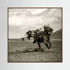 Galloping by Rachel Pansky