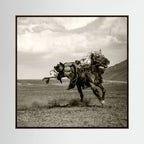 Galloping by Rachel Pansky