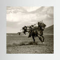 Galloping by Rachel Pansky