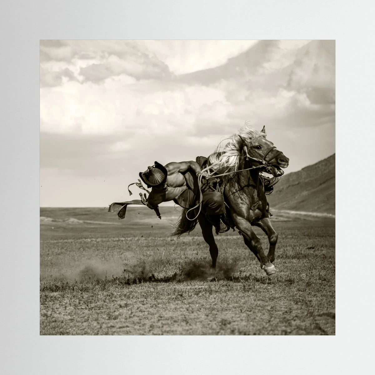 Galloping by Rachel Pansky