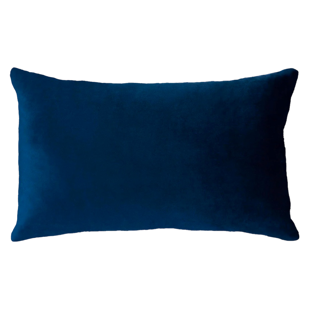 Netflix & Chill Needlepoint Pillow